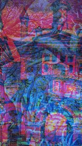 Sortie au Musée de l'Illusion