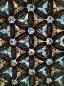 Sortie au Musée de l'Illusion
