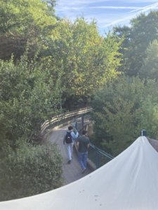 Sortie au Bois de la Bâtie