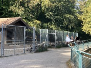 Sortie au Bois de la Bâtie