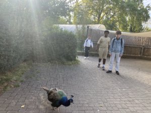 Sortie au Bois de la Bâtie
