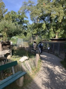 Sortie au Bois de la Bâtie