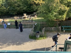 Sortie au Bois de la Bâtie