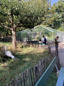 Sortie au Bois de la Bâtie