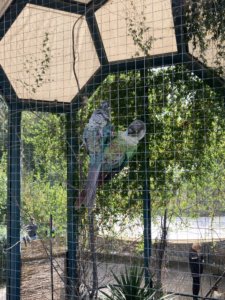 Sortie au Bois de la Bâtie